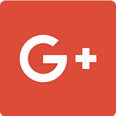 Google+ Social Icon